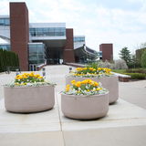 College of Information Sciences and Technology