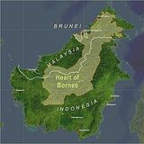 WWF Borneo
